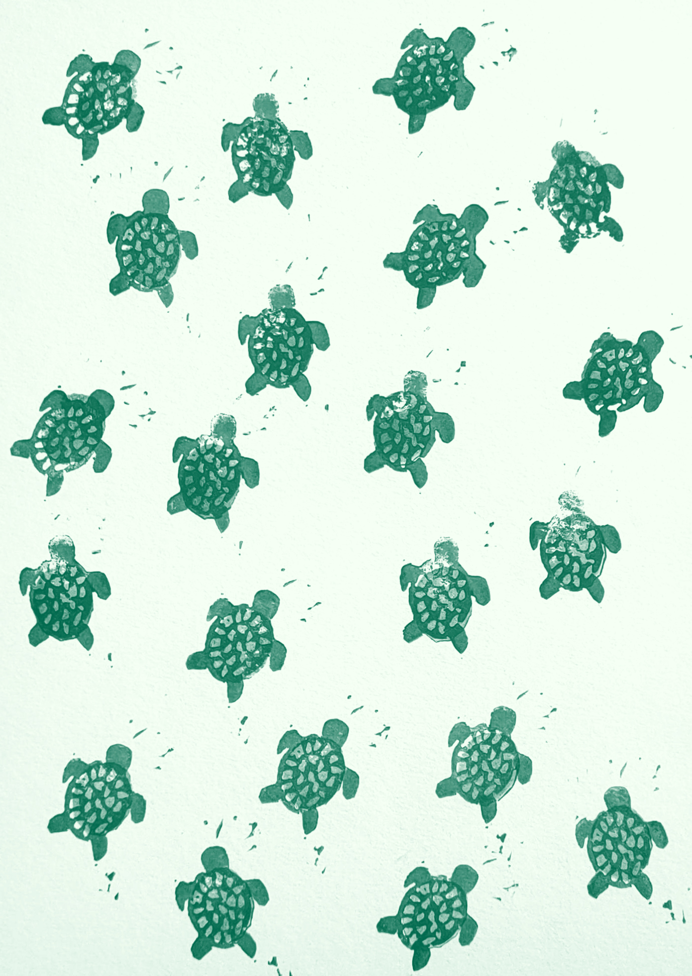 Images avec des motifs de petites tortues
