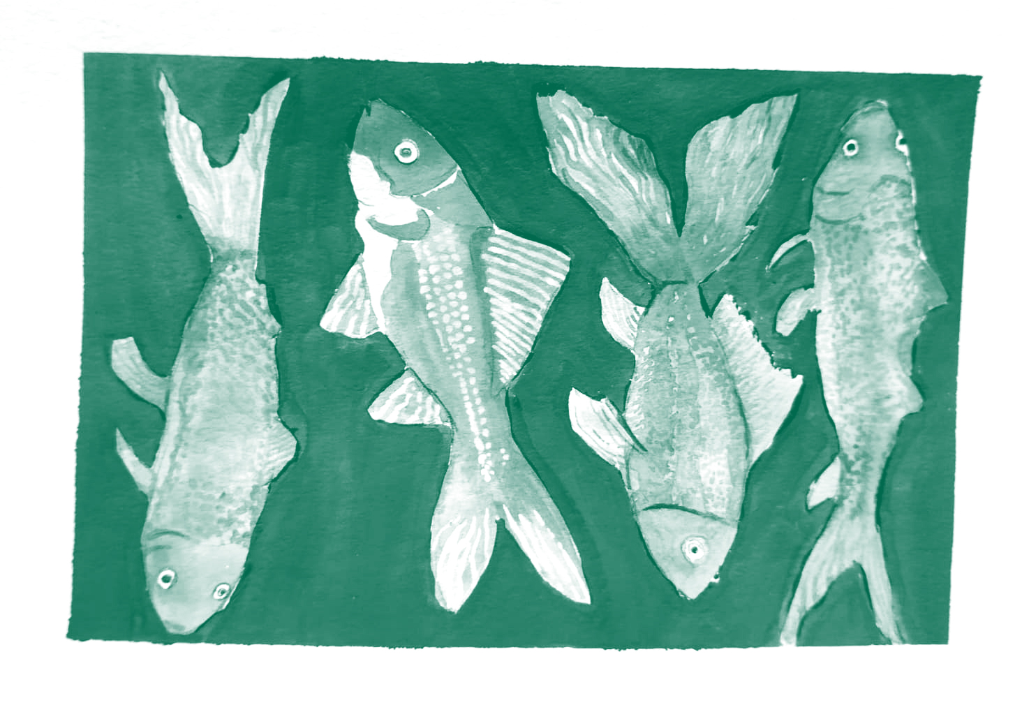 Dessins de poissons les yeux grands ouverts