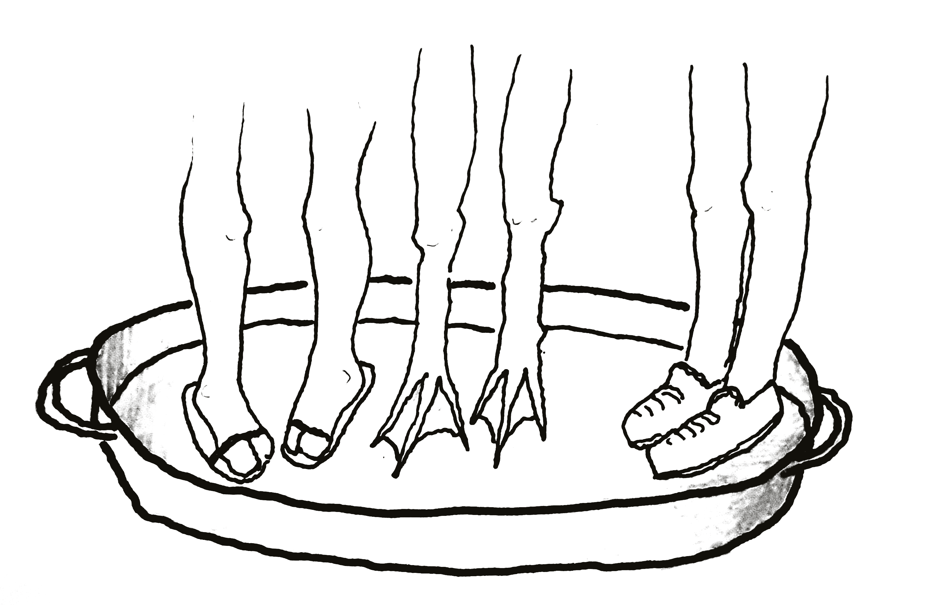 Dessin de pieds dans un plat : des pieds en sandales, des pieds palmés, des pieds chaussés.