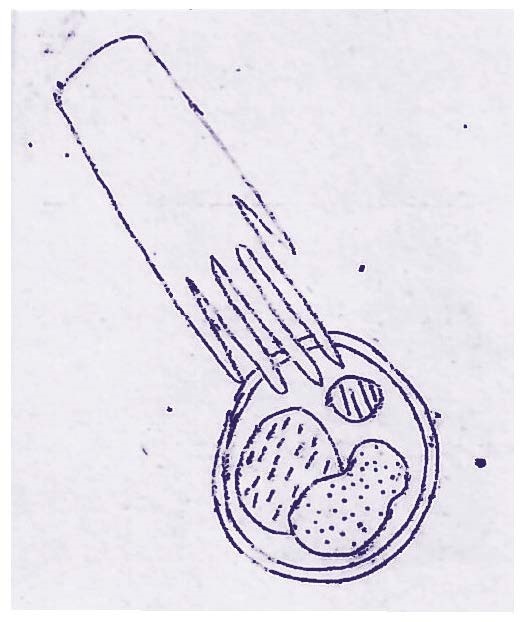 Tu le manges quand même c'est un plat français